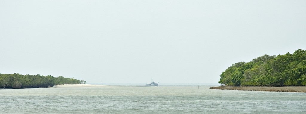 In the Sundarbanscrop